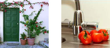 Home maintenance handyman