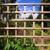 Fixing trellis fencing by handyman